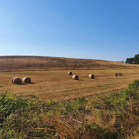 Azienda Agricola Sinisi Cerveteri