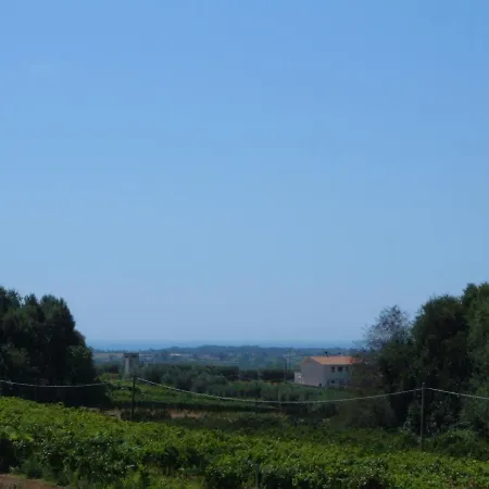 Azienda Agricola Sinisi Farm stay