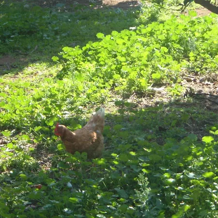 Farm stay Azienda Agricola Sinisi Cerveteri