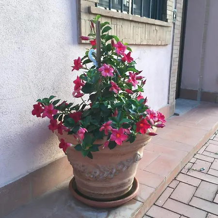 Farm stay Azienda Agricola Sinisi Cerveteri