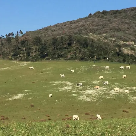 Azienda Agricola Sinisi Farm stay