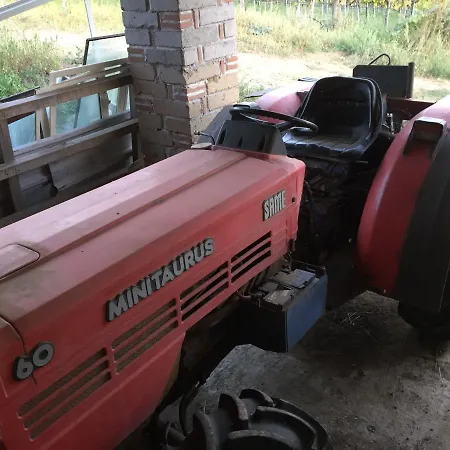 Azienda Agricola Sinisi Farm stay Cerveteri