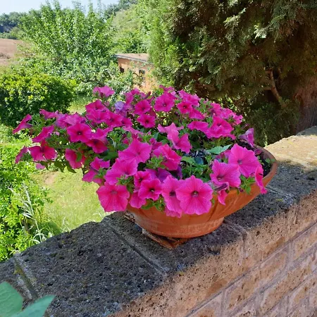 Azienda Agricola Sinisi Farm stay