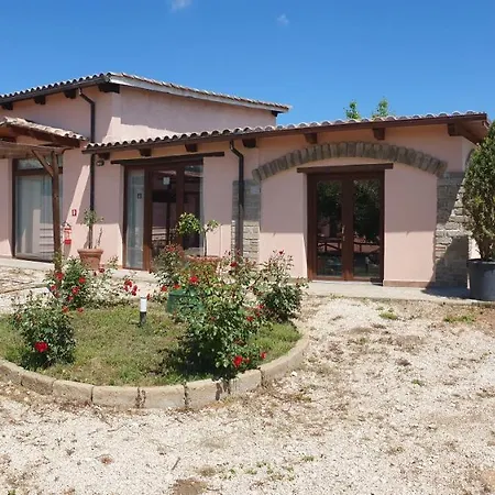 Azienda Agricola Sinisi * Cerveteri