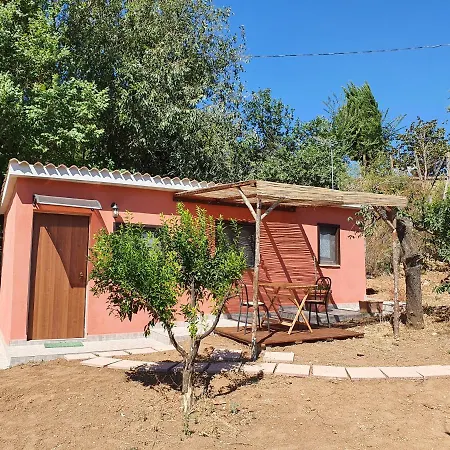 Azienda Agricola Sinisi Cerveteri