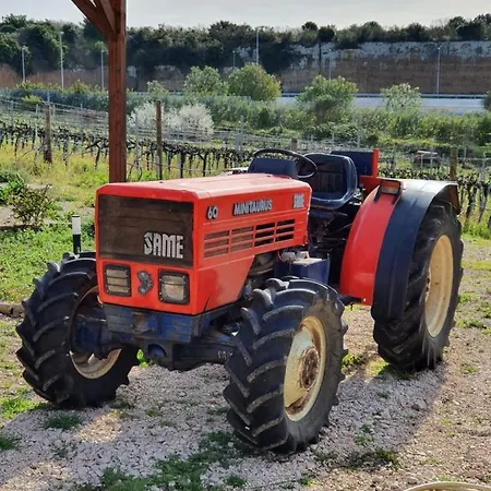 Azienda Agricola Sinisi