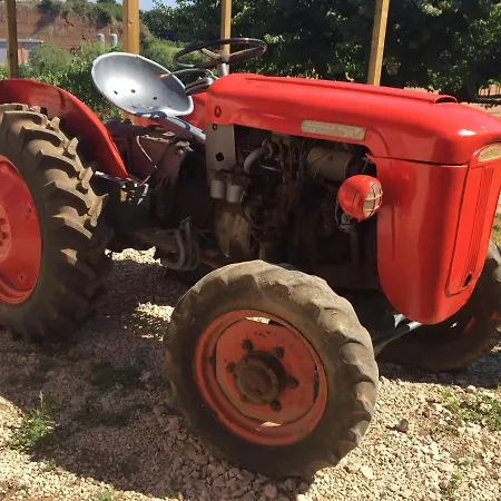 Farm stay Azienda Agricola Sinisi