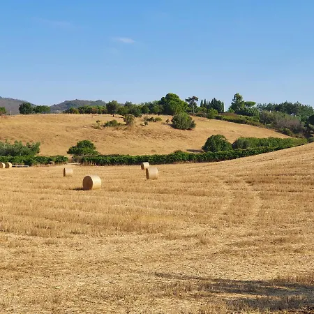 Azienda Agricola Sinisi * Cerveteri