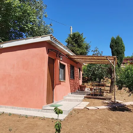 Azienda Agricola Sinisi Cerveteri